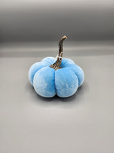 Load image into Gallery viewer, Velvet Pumpkin - Small
