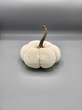 Load image into Gallery viewer, Velvet Pumpkin - Small
