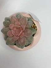 Load image into Gallery viewer, Pink Cat-Planter

